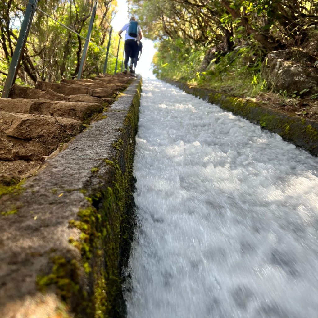 Roteiro de Verão: À Descoberta da Ilha da Madeira