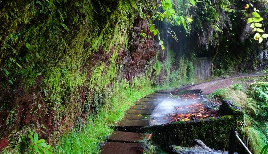 Levada do Rei