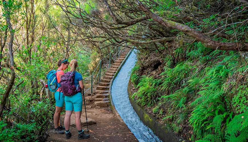 Uncover the secrets of Madeira Island's “Levadas” and Explore more with AkiRent