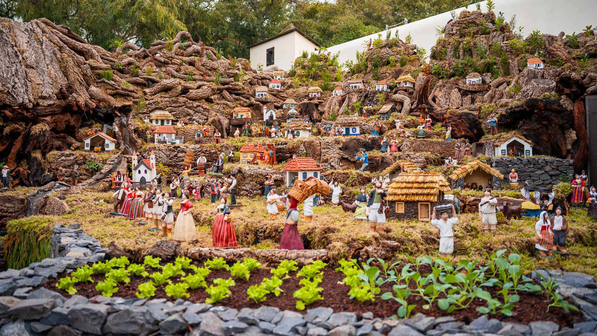 Descubra o Natal e Fim de Ano na Madeira com a Akirent