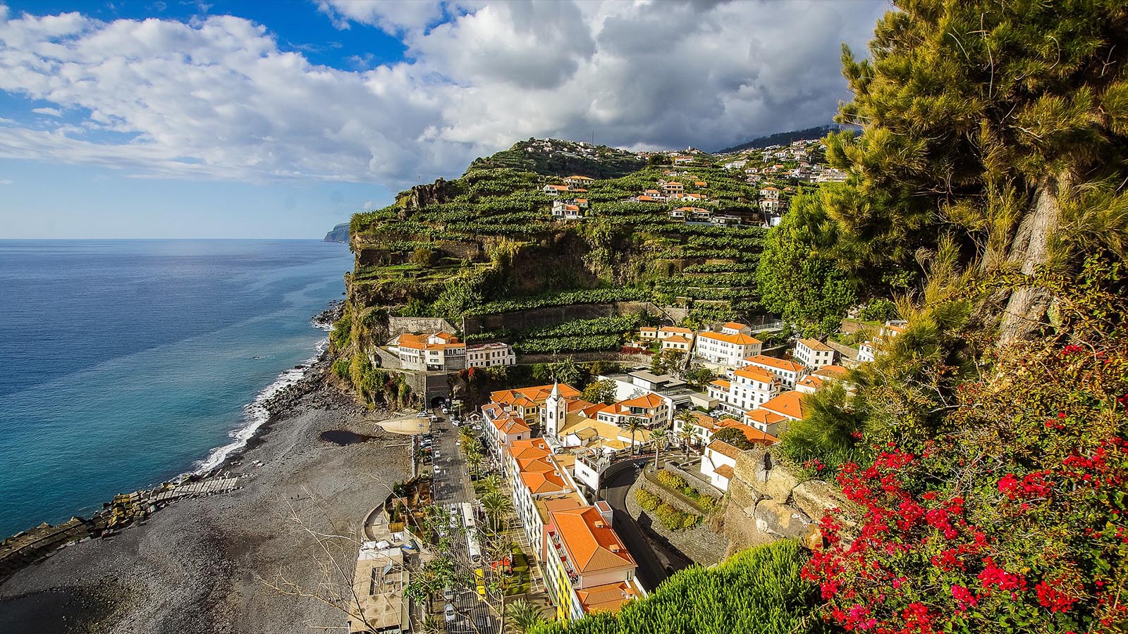 Fancy a trip to Madeira? We've got you covered with everything you need to know to plan your trip.